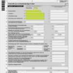 Ergo Riester Rente Kündigen Vorlage Bewundernswert Die Erste Steuererklärung Anlage N