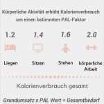 Ernährungsplan Erstellen Vorlage Elegant Ernährungsplan Ganz Einfach Selber Erstellen Große Step