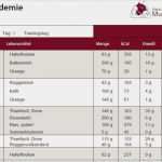 Ernährungsplan Erstellen Vorlage Wunderbar Trainingsplan Abnehmen Pdf