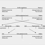 Eröffnungsbilanz Erstellen Vorlage Elegant Was ist Eine Eröffnungsbilanz Docurex Datenraum