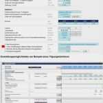 Eröffnungsbilanz Schlussbilanz Vorlage Neu Kurzanleitung Und Hinweise Zu Ser Vorlage Pdf