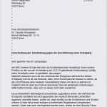 Erörterung Vorlage Bewundernswert Stellungnahme Muster Deutsch