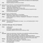 Erörterung Vorlage Elegant 15 Erörterung Vorlage