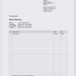 Erörterung Vorlage Erstaunlich 17 Ein Protokoll Schreiben Beispiel