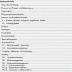 Erp Pflichtenheft Vorlage Elegant Muster Kassenbuch In Excel Von Lexoffice Zum Kostenlosen