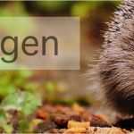 Erstattung Zahnreinigung Vorlage Süß Gothaer Zahnzusatzversicherung Test Der Große Testbericht 2018