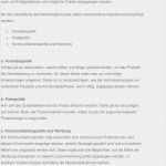 Erstellung Eines Businessplan Vorlage Bewundernswert Vorgaben Zur Erstellung Eines Businessplans Pdf