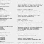 Erstellung Eines Businessplan Vorlage Schönste Startups Ch – Clever Gründen Checkliste Der Businessplan