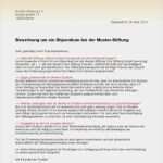 Erstgespräch soziale Arbeit Vorlage Süß Motivationsschreiben sozialer Bereich Motivationsschreiben