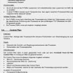 Erstmusterprüfbericht Englisch Vorlage Genial Lqp 1 3 Lieferanten Qualitäts Planung Beschreibung Pdf