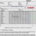 Erstmusterprüfbericht Vorlage Excel Großartig 60 Schön Erstmusterprüfbericht Vda Vorlage Excel Galerie