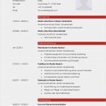 Erstunterweisung Bei Neueinstellung Vorlage Einzigartig Initiativbewerbung Muster Für Animateur