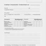 Erstunterweisung Bei Neueinstellung Vorlage Wunderbar Vorlage Für Kurzberichte Bei Mfs Artikulation