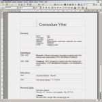 Erstunterweisung Vorlage Kostenlos Bewundernswert Lebenslauf Vorlagen Muster Und Beispiele