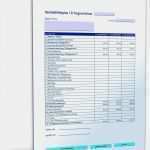 Ertragsvorschau Vorlage Kostenlos Bewundernswert Rentabilitätsplan Mit Ertragsvorschau Muster Vorlage Zum