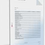 Ertragsvorschau Vorlage Kostenlos Erstaunlich Erfreut Excel Reisekosten Vorlage Galerie Entry Level