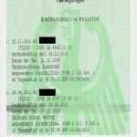 Erweitertes Führungszeugnis Vorlage Arbeitgeber Cool Führungszeugnis Eintragungen Richtig Oder Falsch Recht