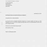 Erweitertes Führungszeugnis Vorlage Arbeitgeber Cool Probezeitbestätigung