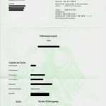 Erweitertes Führungszeugnis Vorlage Arbeitgeber Fabelhaft Brauche Ich Ein Polizeiliches Führungszeugnis