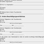 Erweitertes Führungszeugnis Vorlage Arbeitgeber Fabelhaft Einstellungsfragebogen Pdf