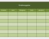 Essensplan Vorlage Abnehmen Schön Ernährungsplan Als Excel Vorlagen