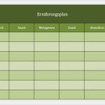 Essensplan Vorlage Abnehmen Schön Ernährungsplan Als Excel Vorlagen