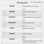 Essensplan Vorlage Abnehmen Wunderbar Die Besten 25 Einkaufsliste Ideen Auf Pinterest