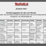 Essensplan Vorlage Abnehmen Wunderbar Zunehmen Mit Dem Ernährungsplan [pdf] Für Hardgainer