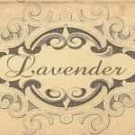 Etiketten Kosmetik Vorlagen Genial Seifenschachteln Selber Machen Und Diy Etiketten