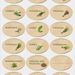 Etiketten Weihnachten Vorlagen Elegant Etiketten Zum Ausdrucken