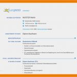 Eu Dsgvo Vorlage Schön 11 Lebenslauf Eu Vorlage