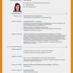 Eu Dsgvo Vorlage Wunderbar 11 Lebenslauf Eu Vorlage