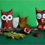 Eulen Vorlage Zum Basteln Best Of Eulen Aus Klopapierrollen Kinderspiele Welt