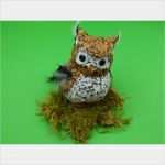 Eulen Vorlage Zum Basteln Cool Eulen Basteln