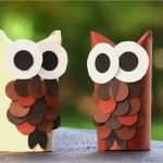 Eulen Vorlage Zum Basteln Hübsch Eulen Basteln Mit Klopapierrollen so Geht S