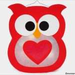 Eulen Vorlage Zum Basteln Luxus Die Besten 25 Eulen Laterne Ideen Auf Pinterest