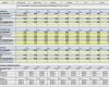 Eür Excel Vorlage Kostenlos Fabelhaft Rs Controlling System Für EÜr Inkl Liquiditätsplanung