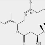 Eür Vorlage Kostenlos Hübsch Eür Vorlage Kostenlos Design Ñ Ð°Ñ Ð¿Ð°ÐºÐ¾Ð²ÐºÐ