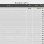 Eür Vorlage Pdf Cool Numbers Vorlage Einnahmen Überschuss Rechnung 2012 Mit Ust