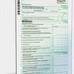 Eür Vorlage Pdf Wunderbar Anlage EÜr Einnahmenüberschussrechnung 2009 • De