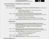 Euro Lebenslauf Vorlage Download Beste Lebenslauf Muster Eu Cv Lebenslauf