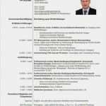 Euro Lebenslauf Vorlage Download Beste Lebenslauf Muster Eu Cv Lebenslauf