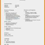 Euro Lebenslauf Vorlage Download Beste Lebenslauf Muster Für Architekt Lebenslauf Designs Jobs Ch