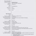 Euro Lebenslauf Vorlage Download Bewundernswert Europass Lebenslauf Vorlage