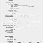 Euro Lebenslauf Vorlage Download Elegant Resume format Model Cvs