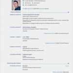 Euro Lebenslauf Vorlage Download Erstaunlich Avni Tusha Cv Europass 2015