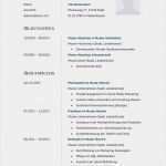 Euro Lebenslauf Vorlage Download Großartig Bewerbungsmuster Finanzberater