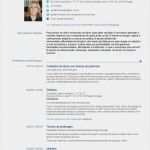 Euro Lebenslauf Vorlage Download Luxus Die Besten 25 Europass Cv Ideen Auf Pinterest