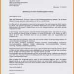 Euro Lebenslauf Vorlage Download Wunderbar Typisch Bewerbung Euro Muster Büro Lebenslauf Bewerbung