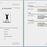 Europäischer Lebenslauf Vorlage Word Großartig Lebenslauf Vorlagen Word Download